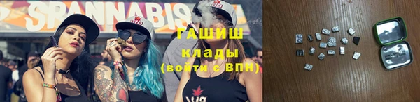2c-b Краснослободск