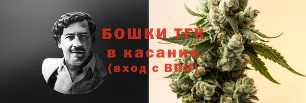 2c-b Краснослободск