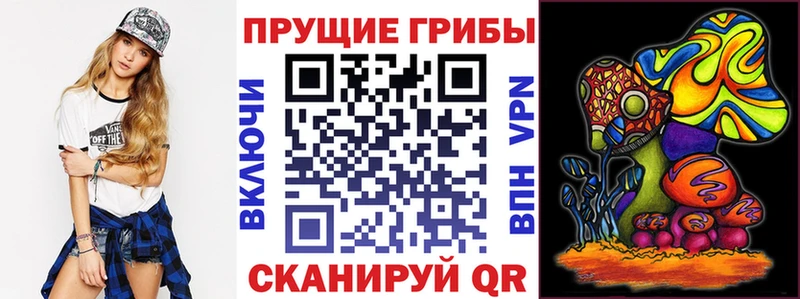 Галлюциногенные грибы Cubensis  Михайловск 